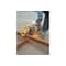 Pferd Abrasive Cut-Off Wheel, 14 in Dia, 1/8 in Thick, 1 in Arbor Hole Size, Aluminum oxide A, 24 Grit 64402 - alternate 2